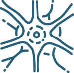 Graphic of nerve synapse to represent Nervous System Regulation