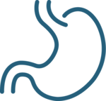 Outline graphic of a stomach