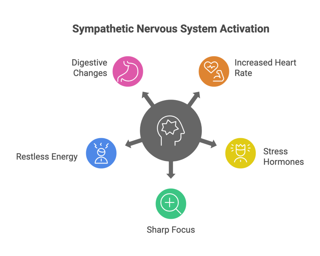 Nervous System Regulation with Kinesiology in Melbourne 1 _Melbourne_Victoria